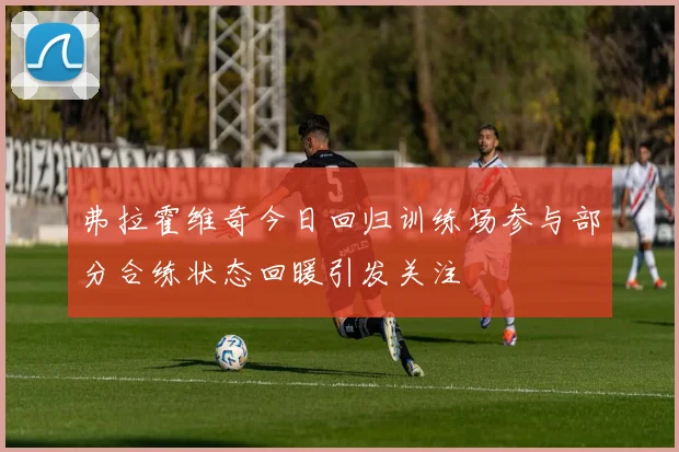 弗拉霍维奇今日回归训练场参与部分合练状态回暖引发关注