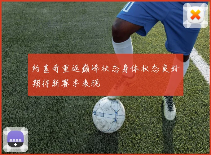 约基奇重返巅峰状态身体状态良好期待新赛季表现